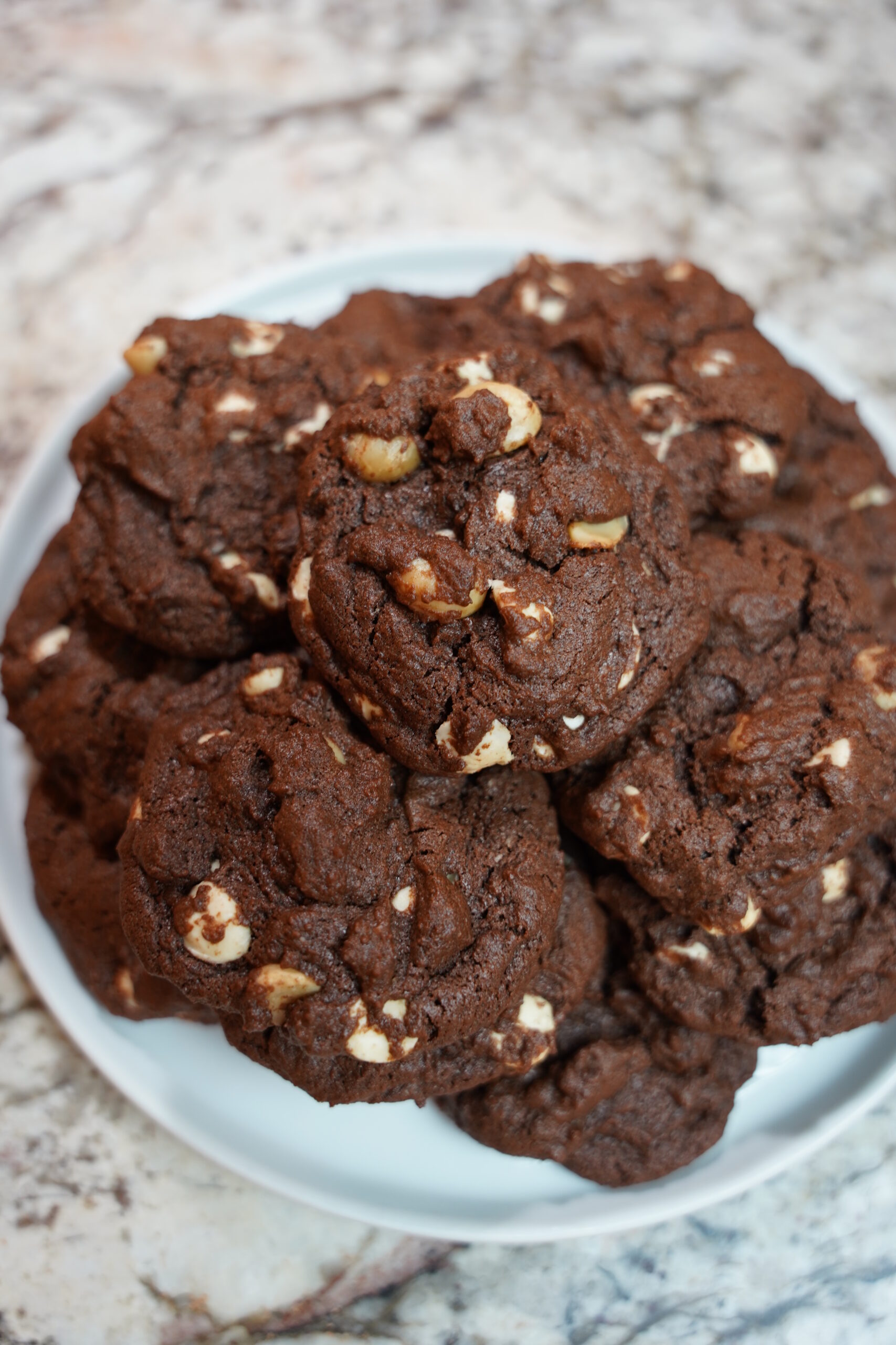 Double Chocolate Macadamia Nut Cookies baked and sitting on a white plate on a granite countertop.