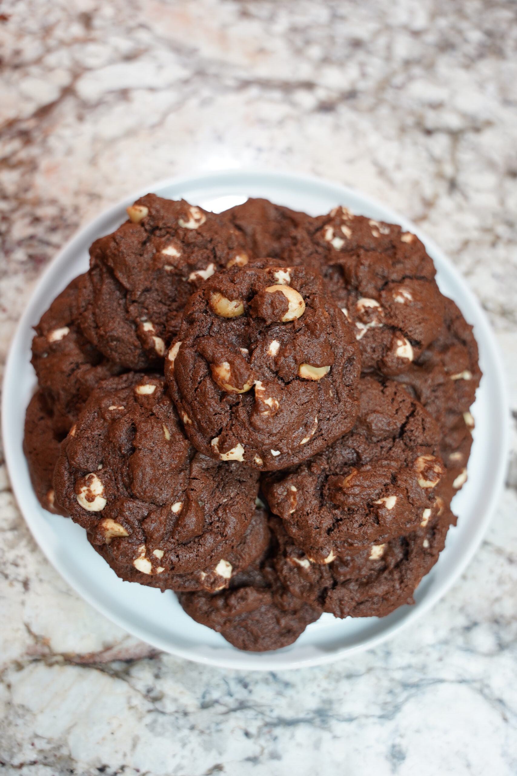 Double Chocolate Macadamia Nut Cookies baked and sitting on a white plate on a granite countertop.