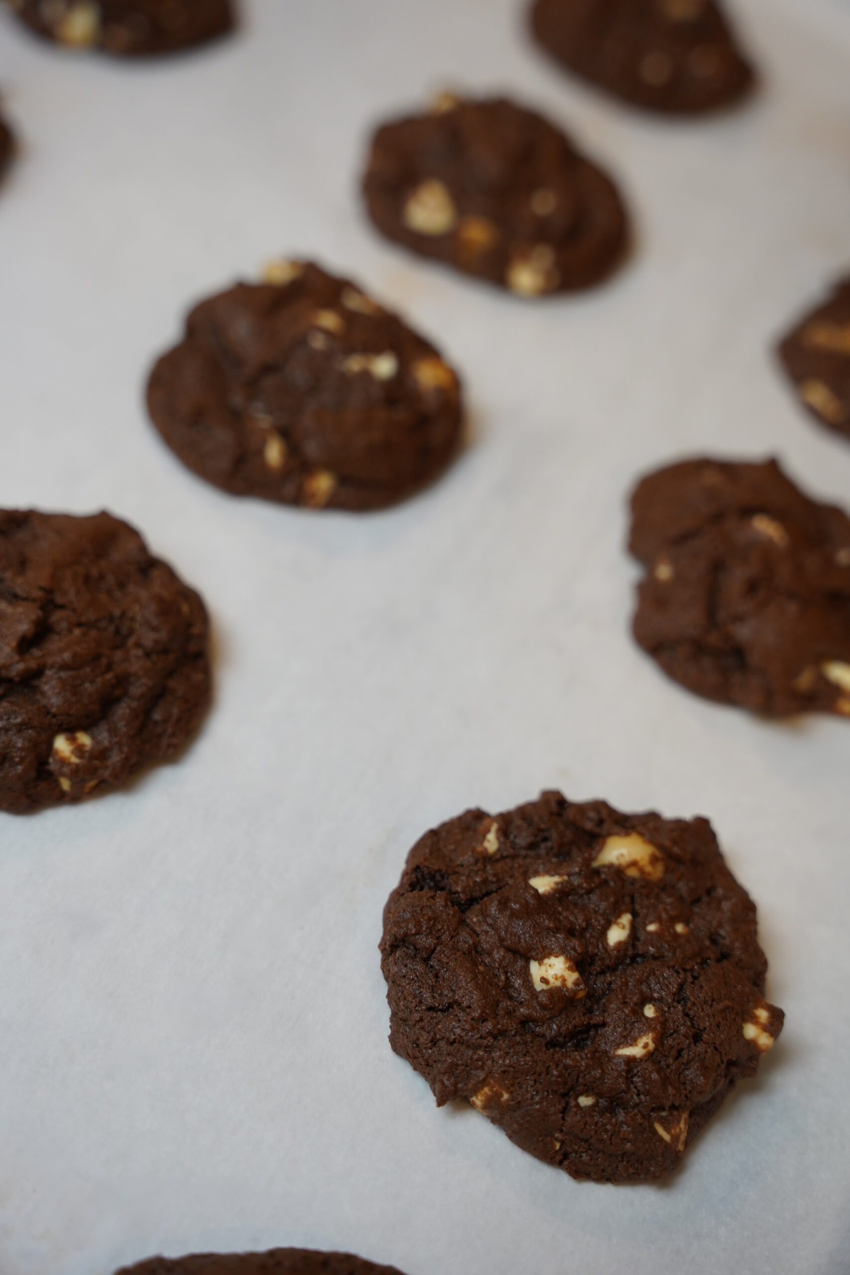 Double Chocolate Macadamia Nut Cookies baked and sitting on a cookie sheet with parchment paper.