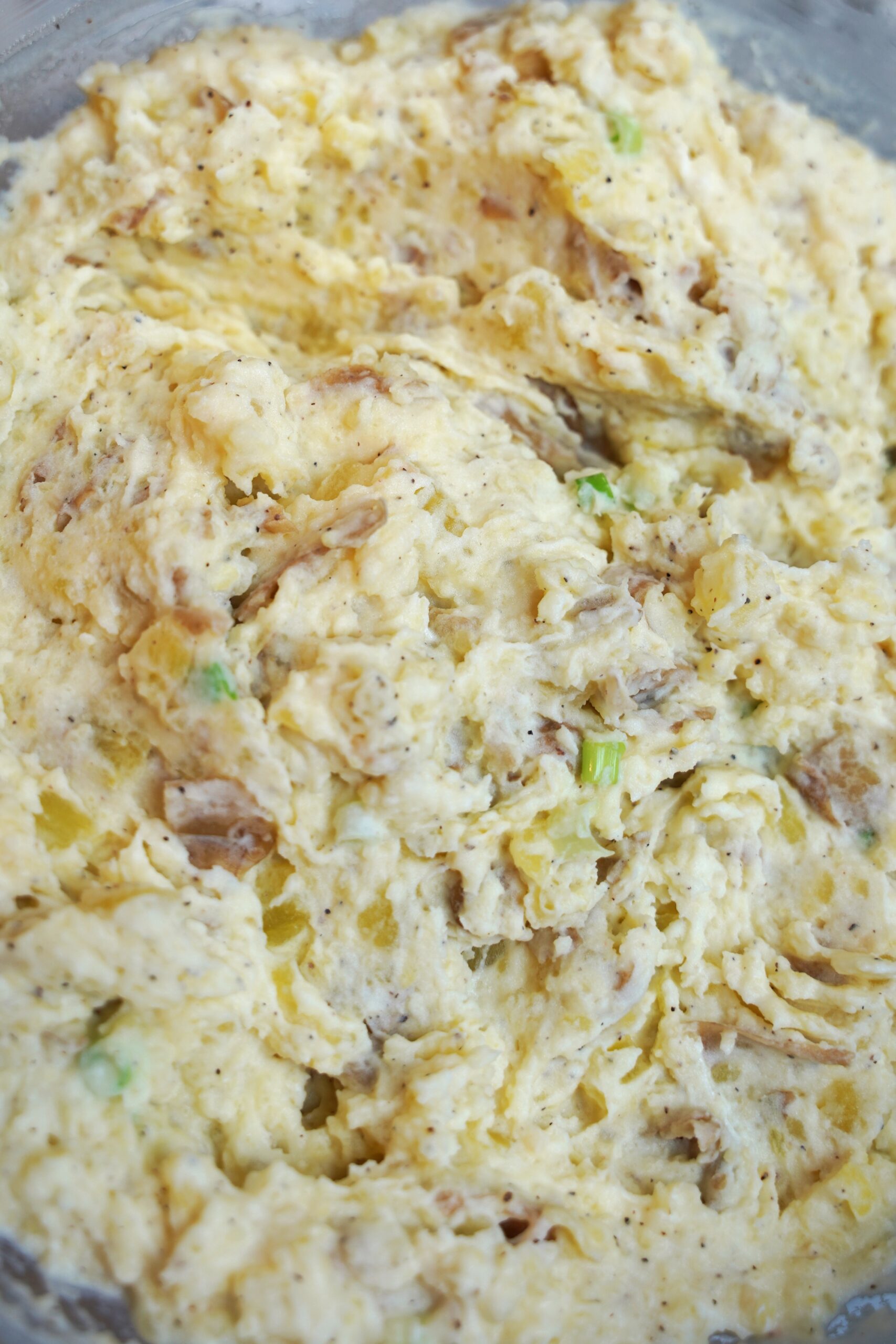 close up photographic of the most delicious mashed potatoes - ever. Rustic and flavorful.