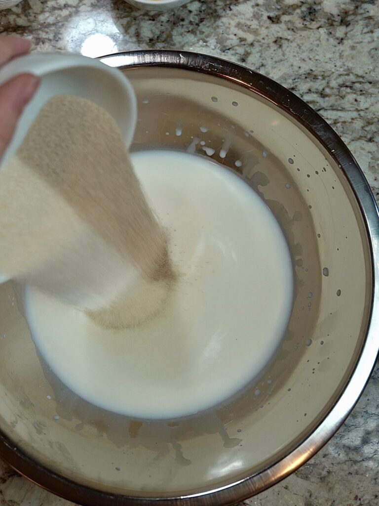 Step 1 making pumpkin shaped dinner rolls. Adding sugar, salt, and active dry yeast to warm milk and honey.